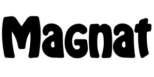 Magnat Audio
